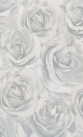 433 Роза белая