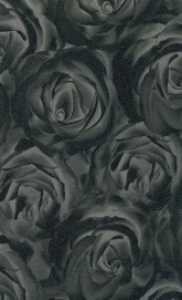 437 Роза черная