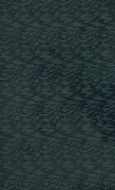 79 SD Пиксель черный